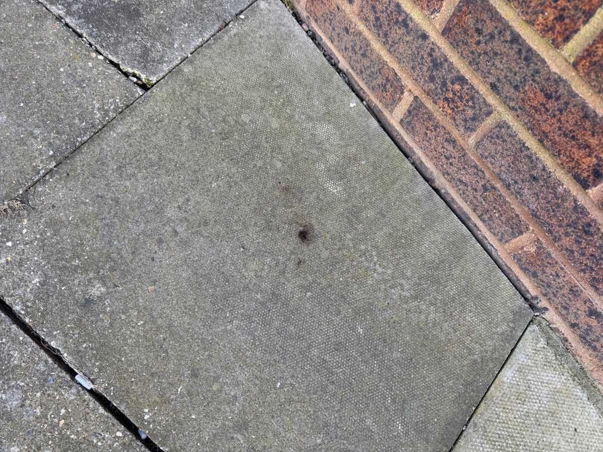 All that remains of the poo laid at the doorstep of the Ipswich Star